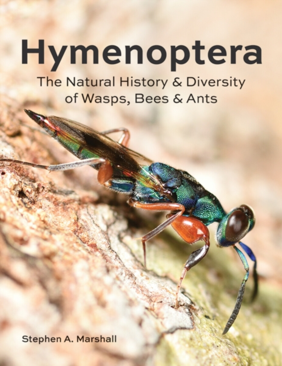 Kniha Hymenoptera