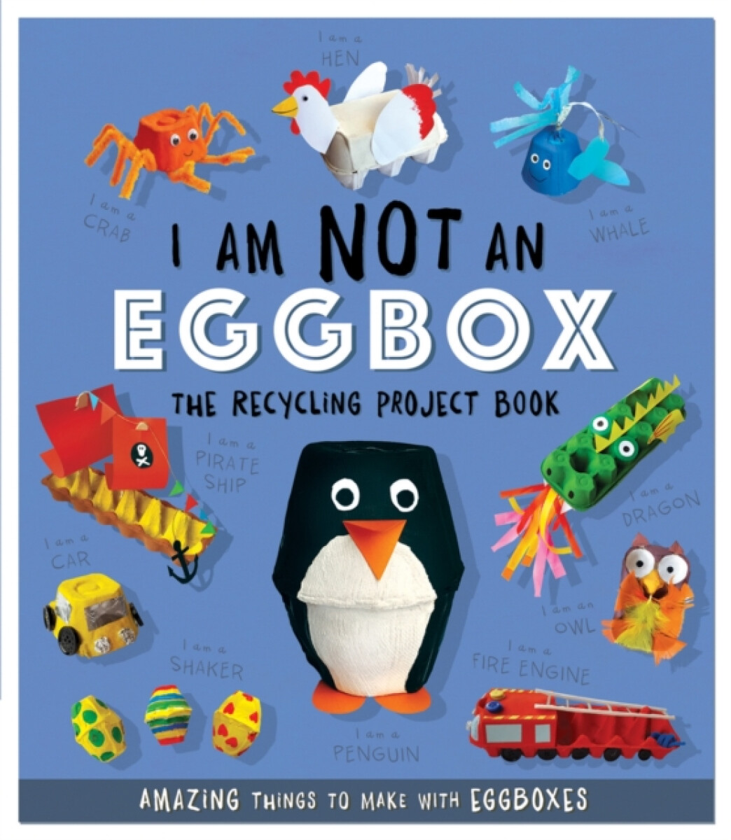 Kniha I Am Not An Eggbox - The Recycling Project Book