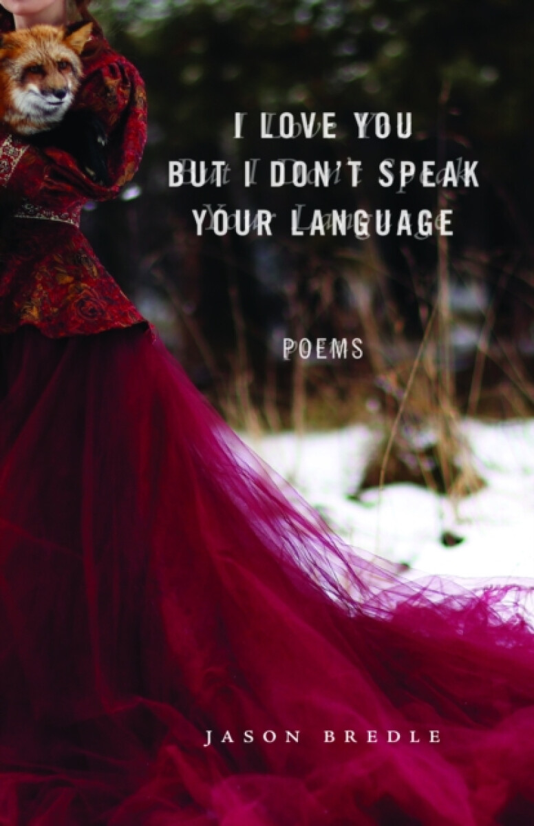 Kniha I Love You but I Don't Speak Your Language