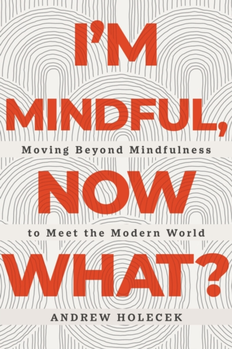 Kniha I'm Mindful, Now What?