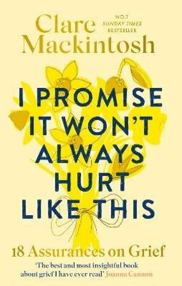 Kniha I Promise It Won´t Always Hurt Like This