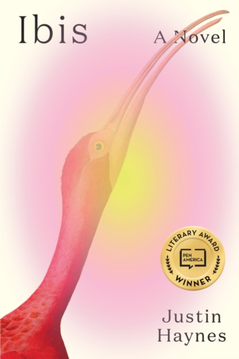 Kniha Ibis