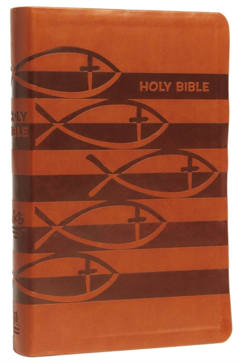 Kniha ICB, Holy Bible, Leathersoft, Brown