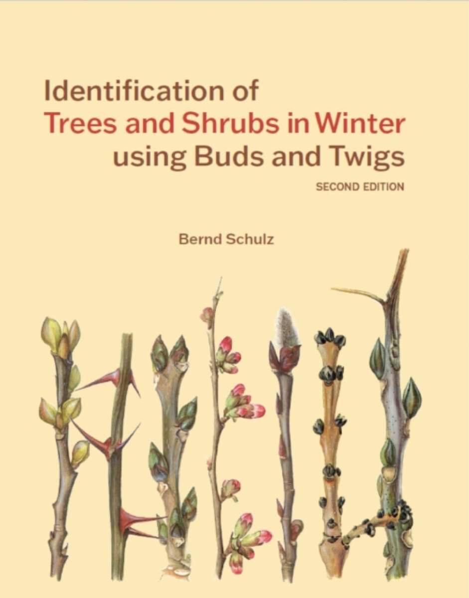 Kniha Identification of Trees and Shrubs in Winter using Buds and Twigs