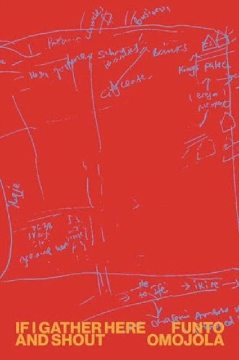 Kniha If I Gather Here and Shout