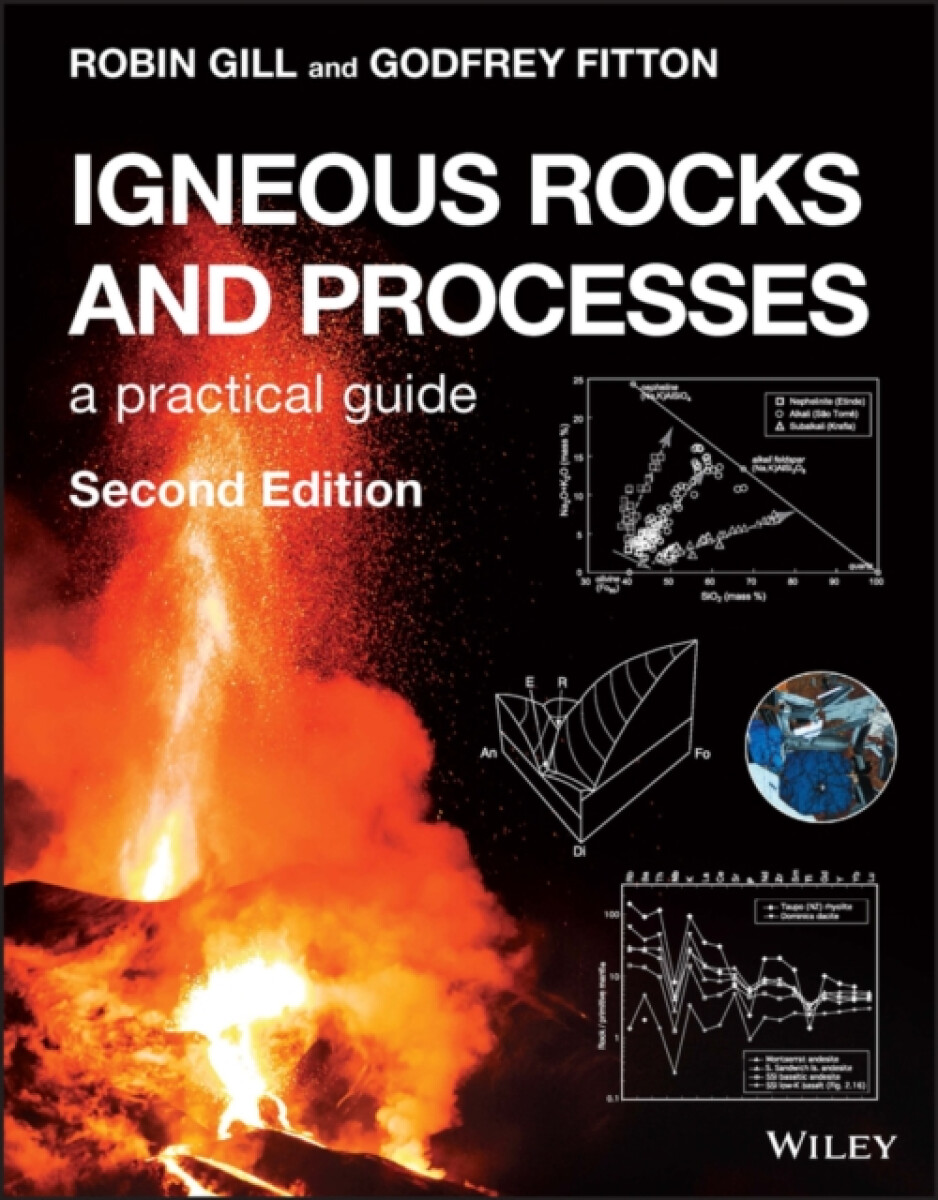 Kniha Igneous Rocks and Processes