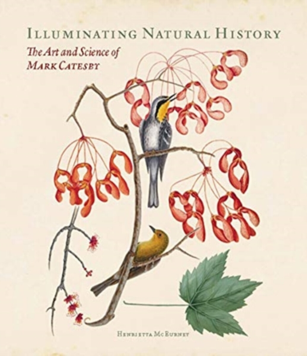 Kniha Illuminating Natural History