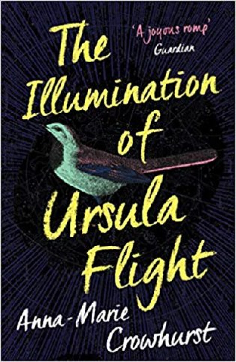Kniha Illumination of Ursula Flight