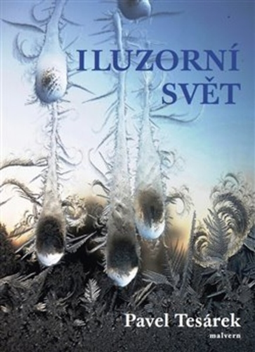 Kniha Iluzorní svět