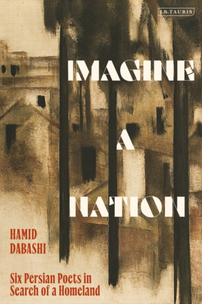 Kniha Imagine a Nation
