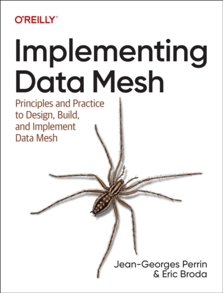 Kniha Implementing Data Mesh