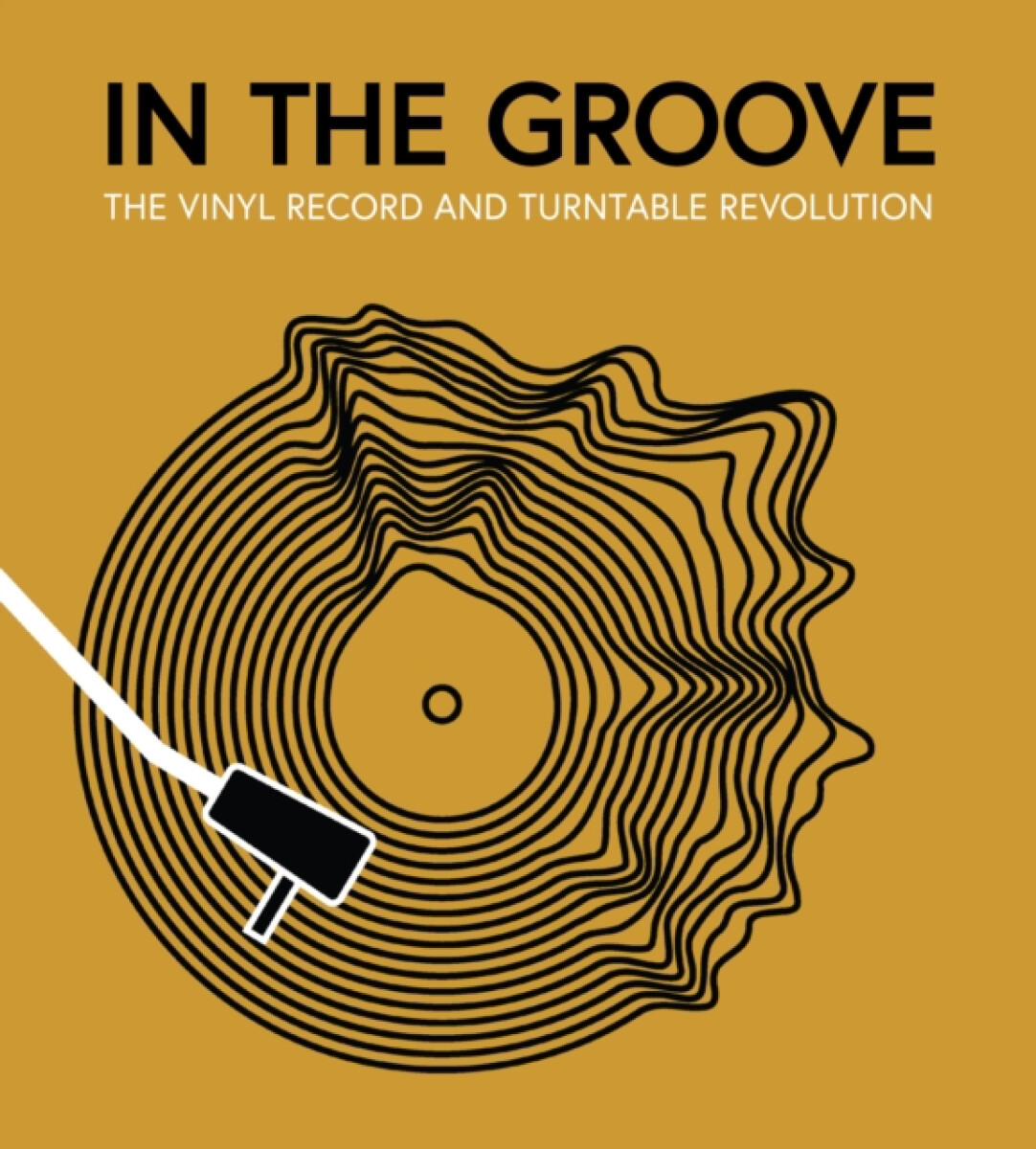 Kniha In the Groove