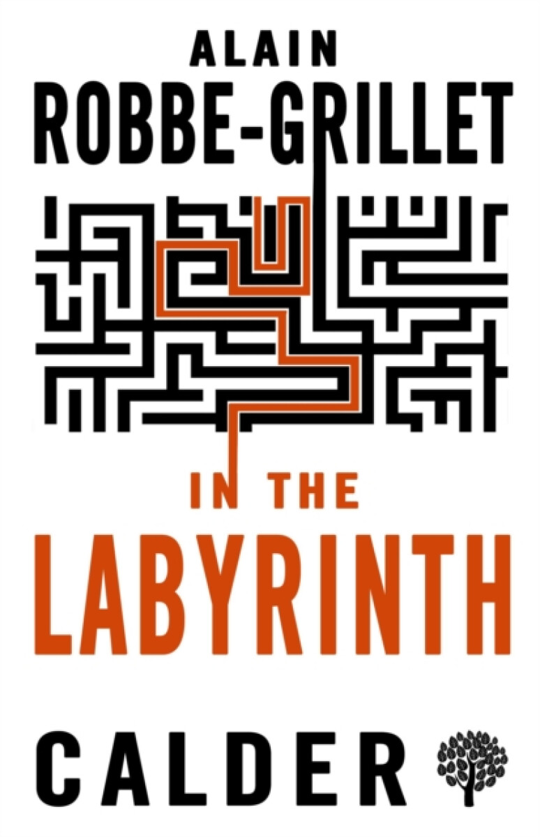 Kniha In the Labyrinth