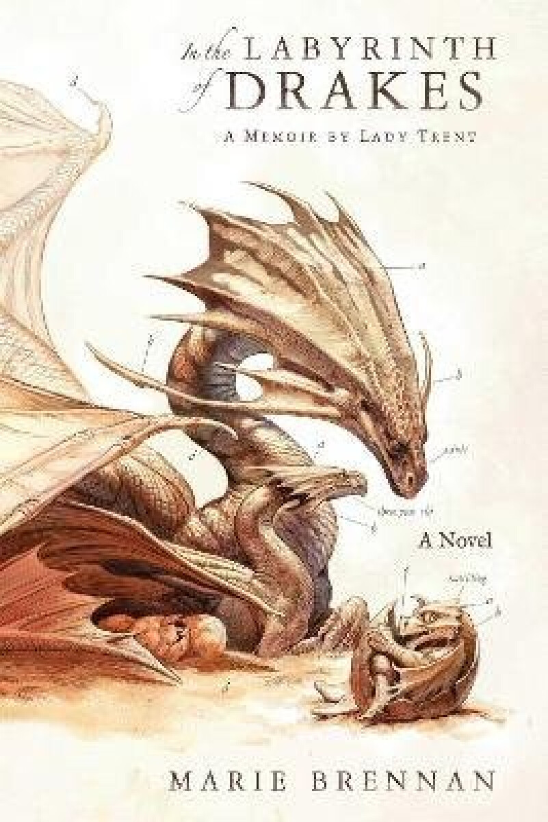 Kniha In the Labyrinth of Drakes