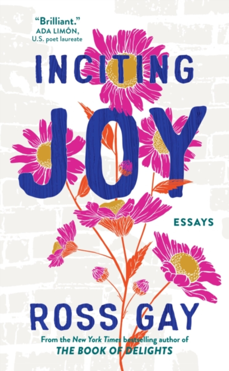 Kniha Inciting Joy
