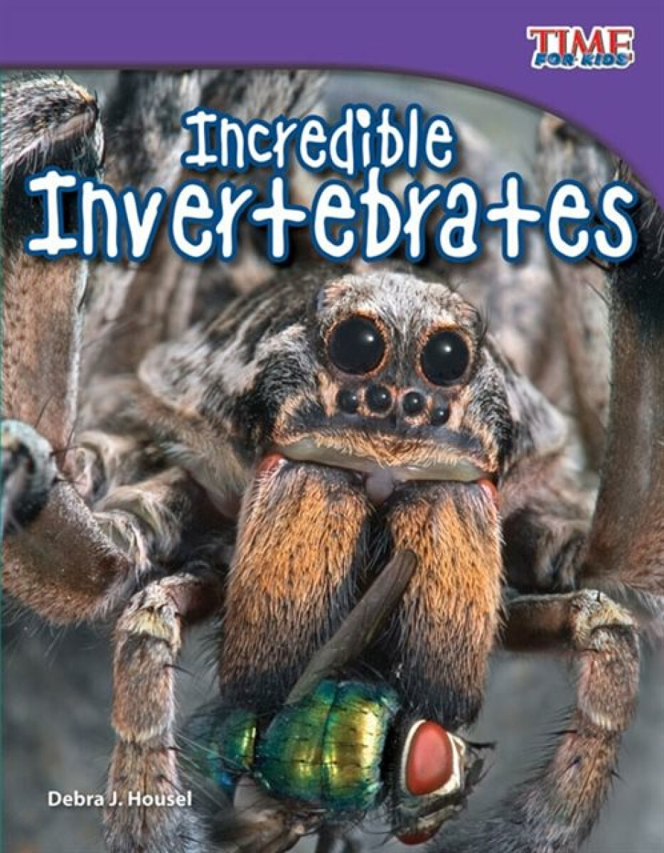 Kniha Incredible Invertebrates