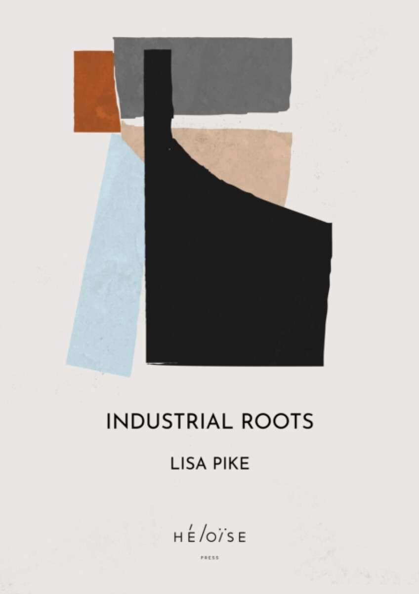 Kniha Industrial Roots