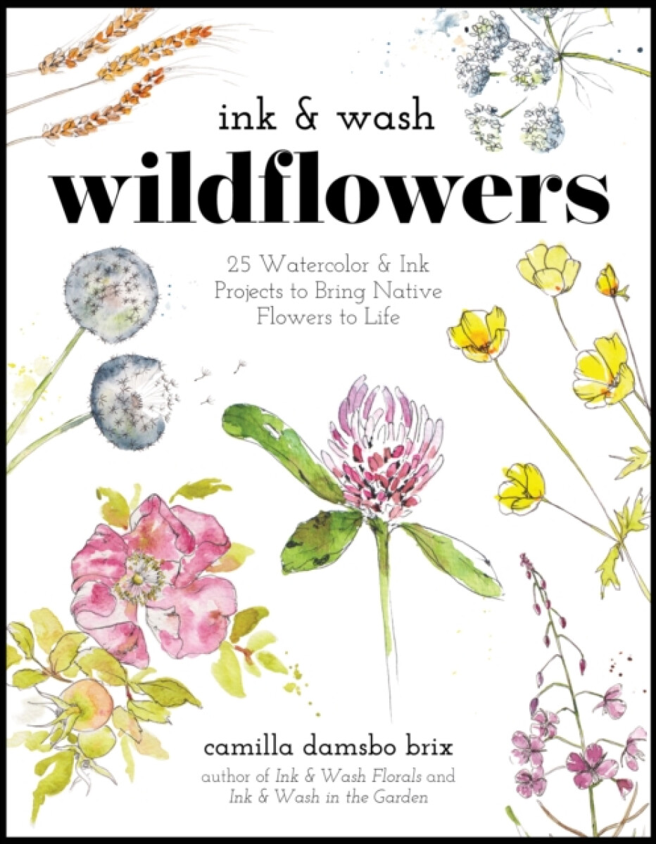 Kniha Ink & Wash Wildflowers