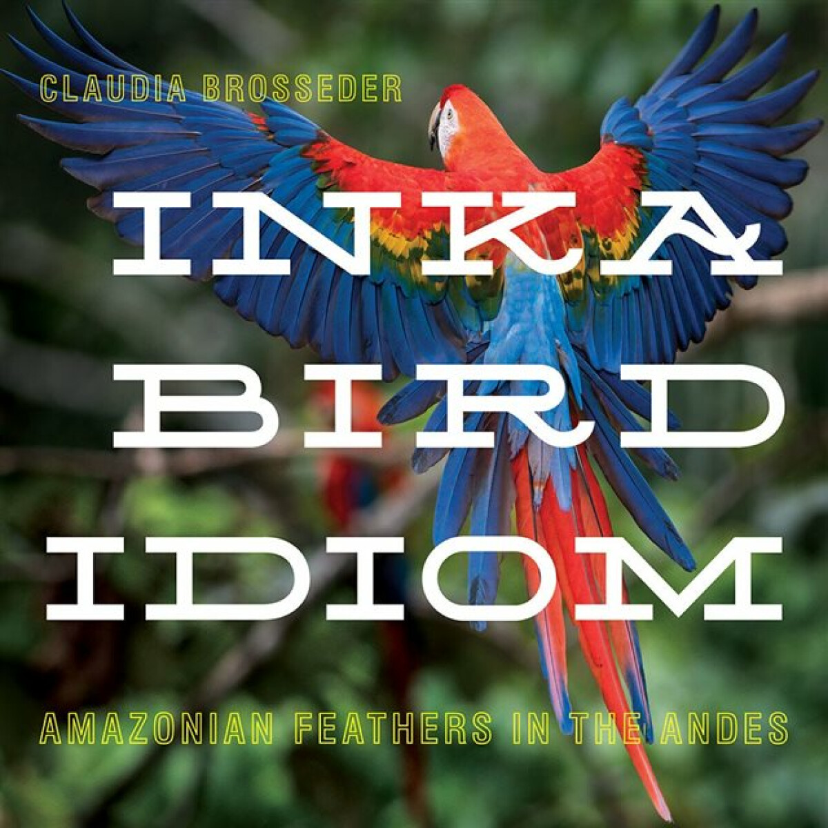 Kniha Inka Bird Idiom