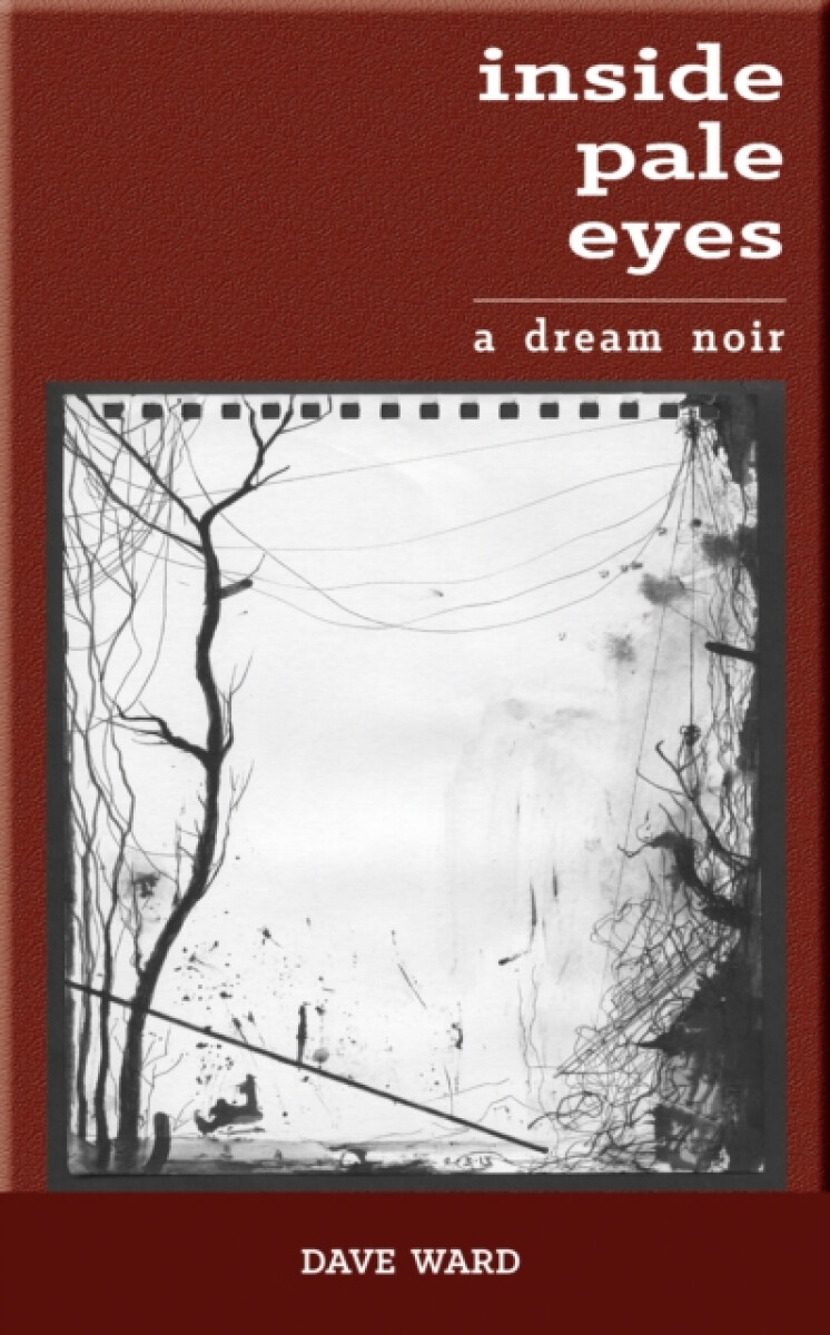 Kniha Inside Pale Eyes