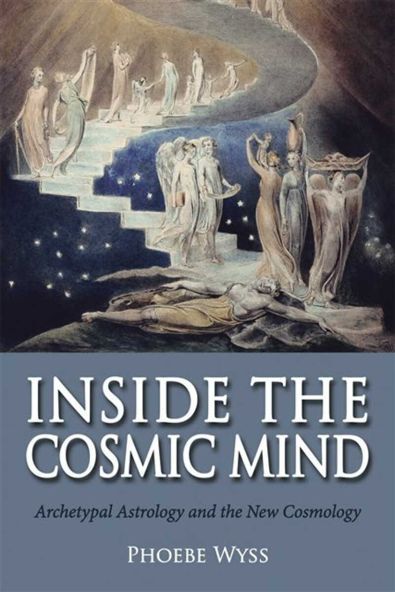Kniha Inside the Cosmic Mind