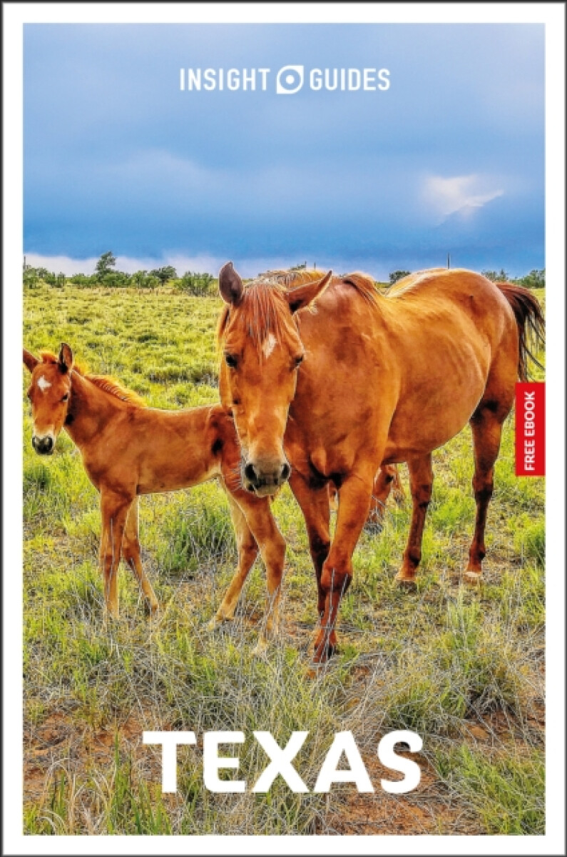Kniha Insight Guides Texas: Travel Guide with eBook
