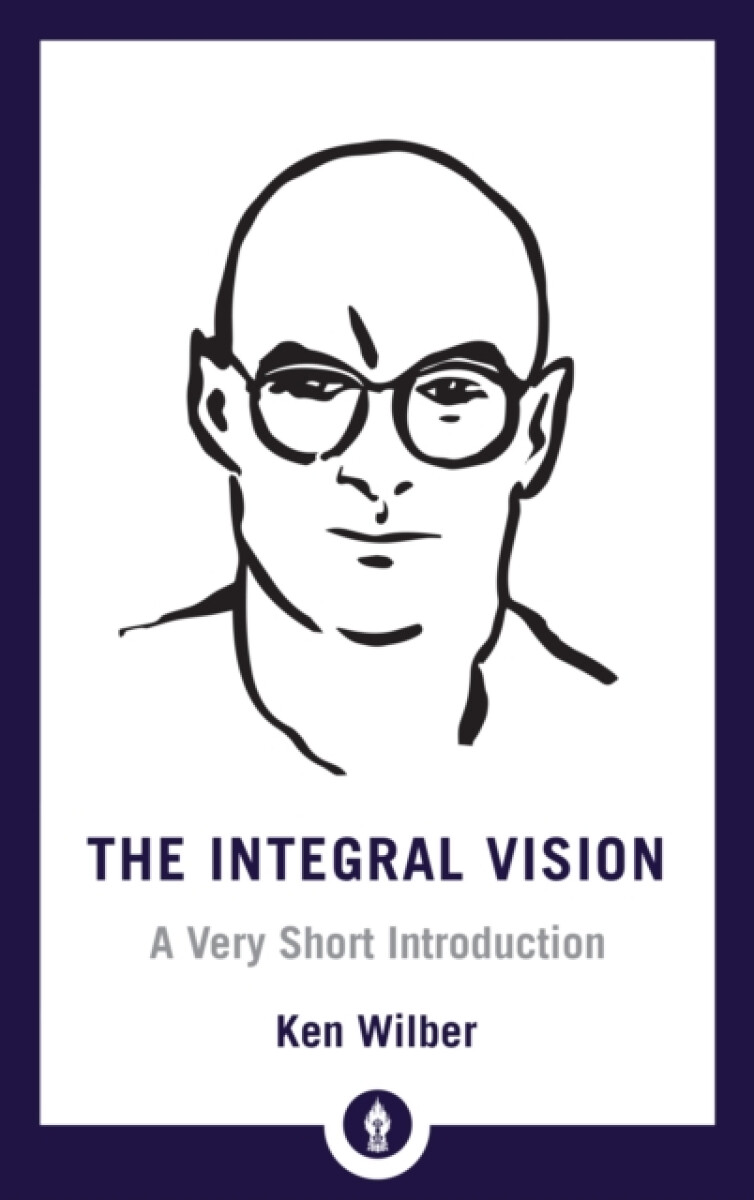 Kniha Integral Vision