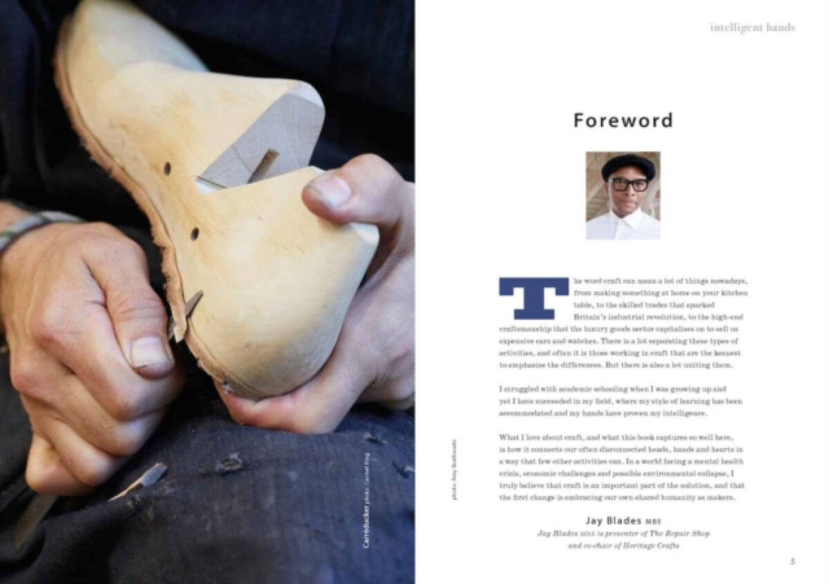 Kniha Intelligent Hands