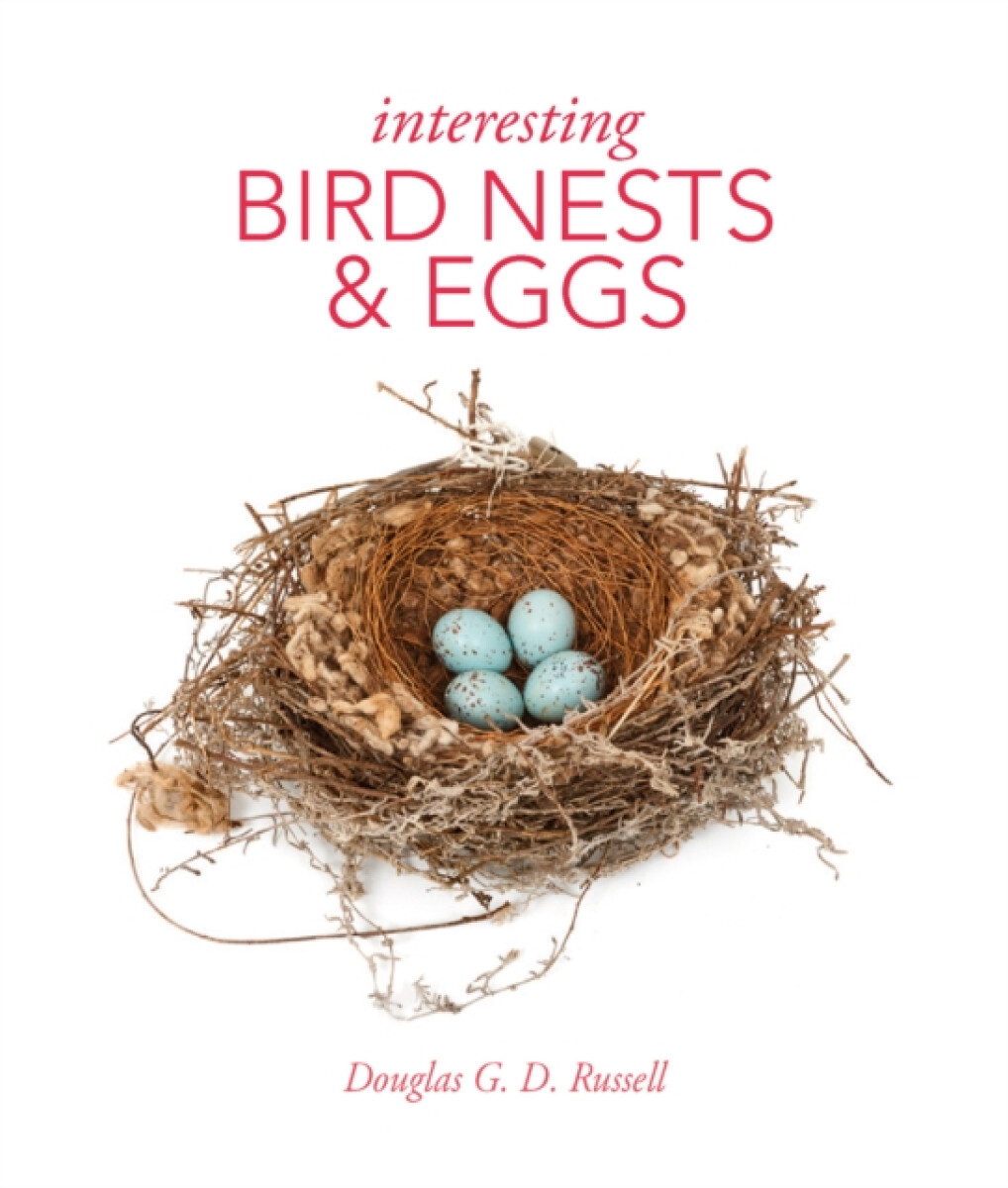 Kniha Interesting Bird Nests and Eggs