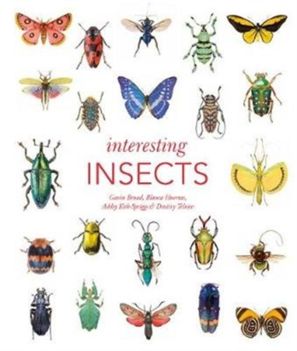 Kniha Interesting Insects
