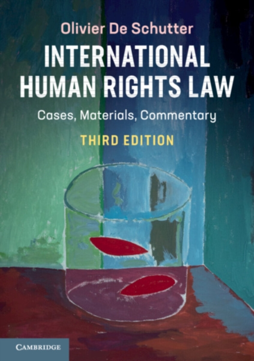 Kniha International Human Rights Law