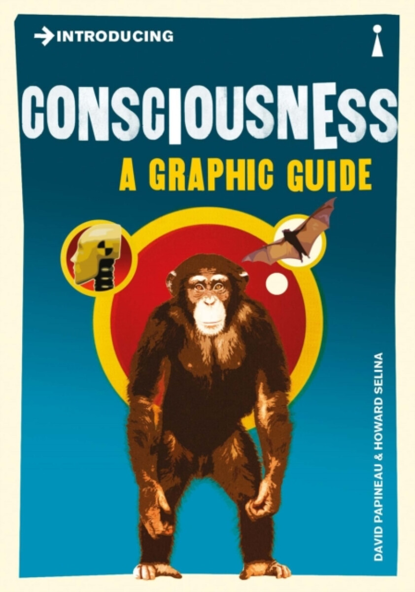 Kniha Introducing Consciousness