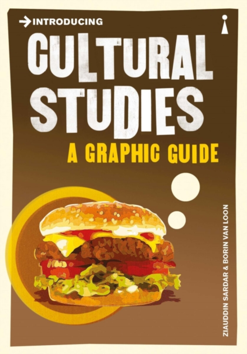 Kniha Introducing Cultural Studies