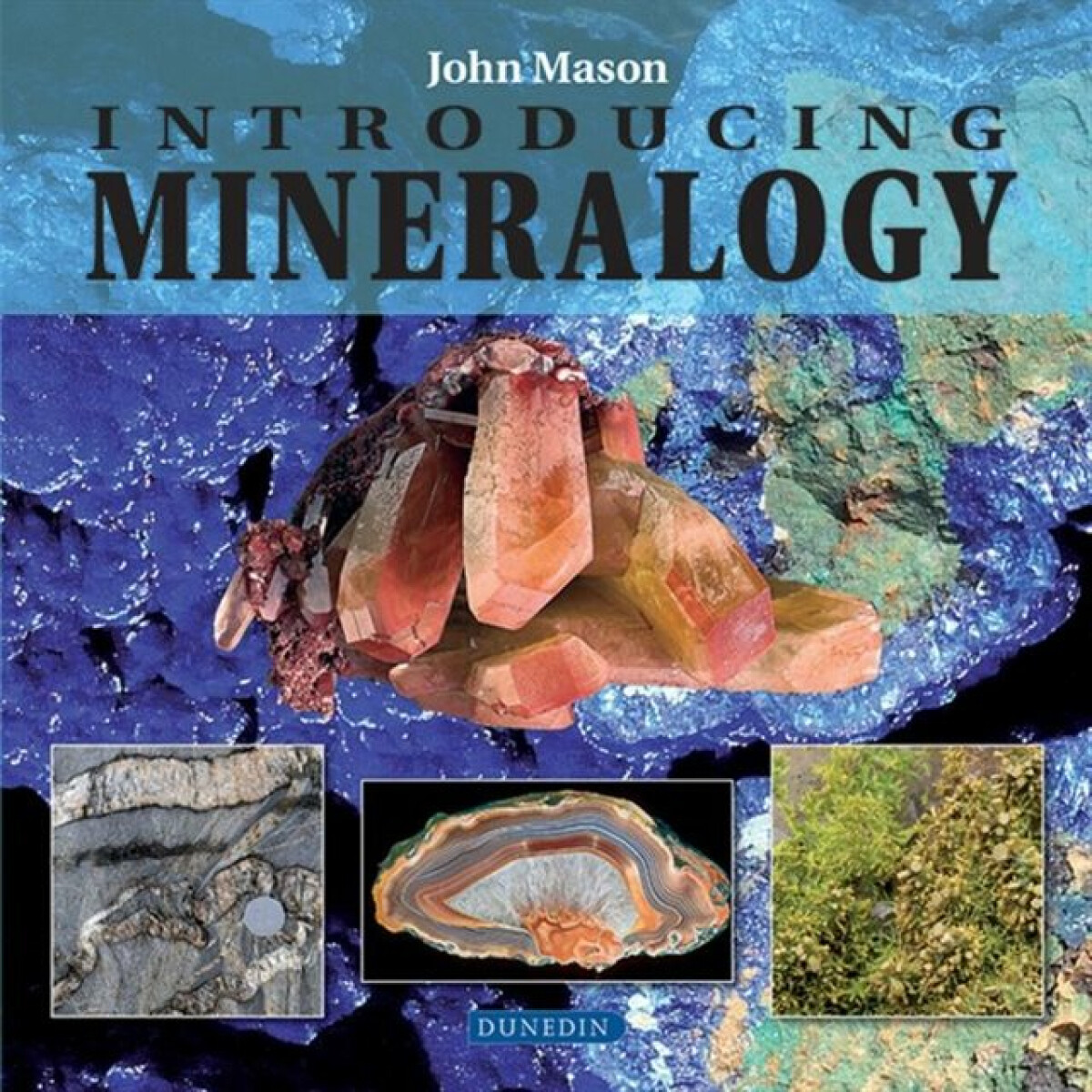 Kniha Introducing Mineralogy