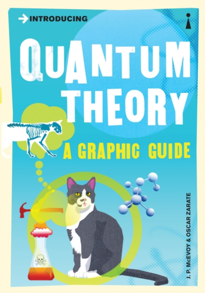 Kniha Introducing Quantum Theory