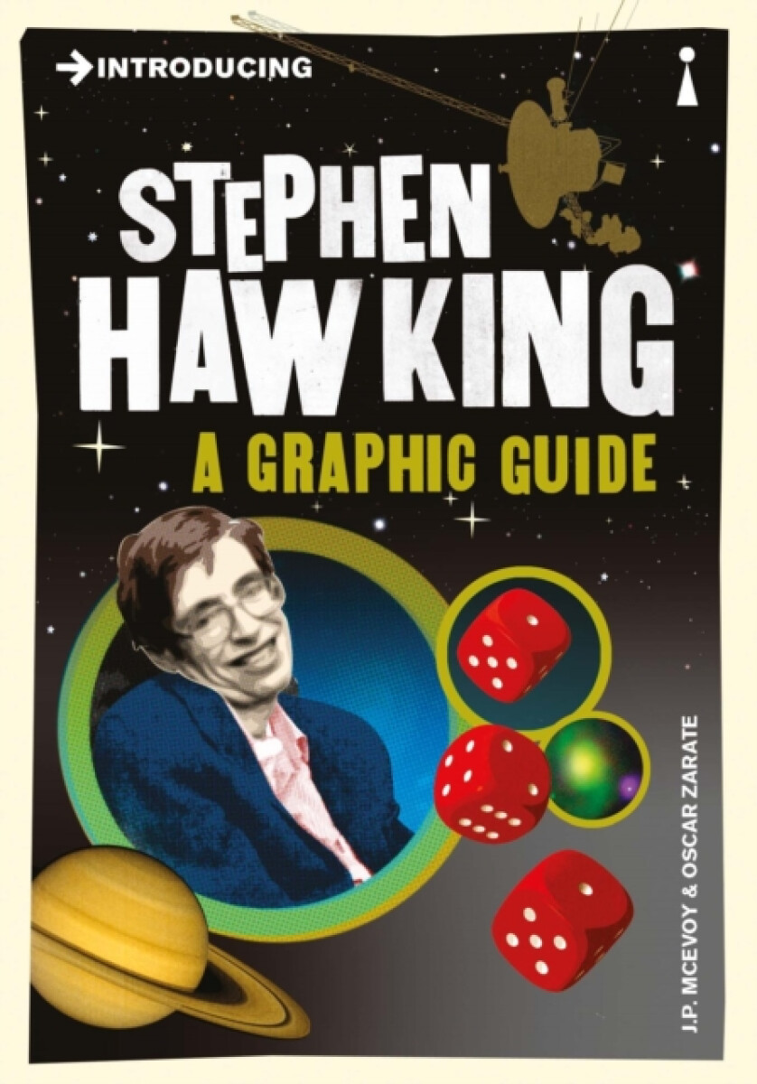 Kniha Introducing Stephen Hawking