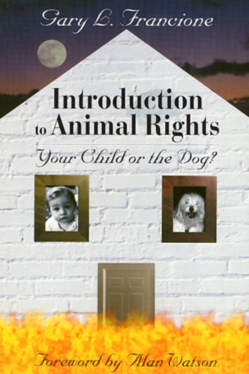 Kniha Introduction to Animal Rights