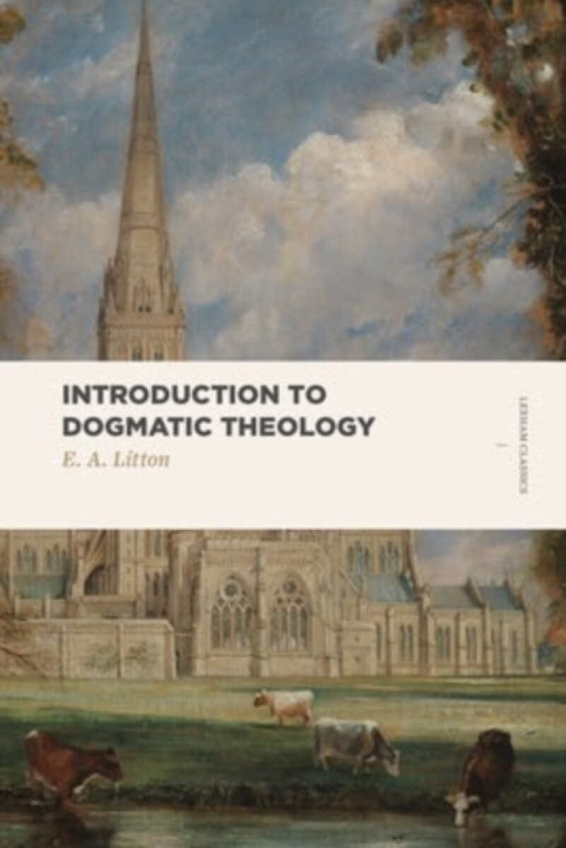 Kniha Introduction to Dogmatic Theology