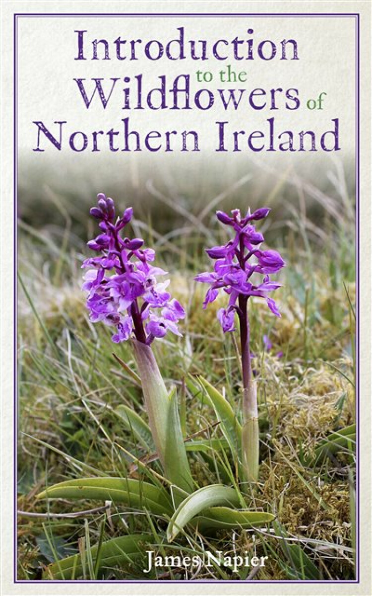 Kniha Introduction to the Wildflowers of Northern Ireland