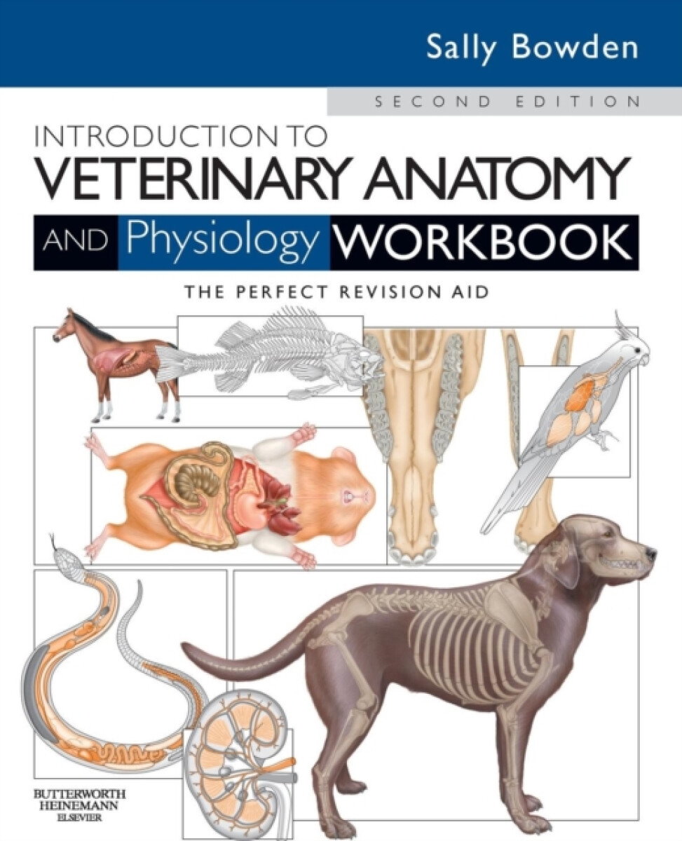 Kniha Introduction to Veterinary Anatomy and Physiology Workbook