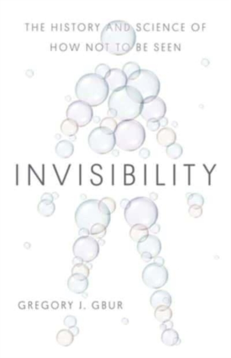 Kniha Invisibility
