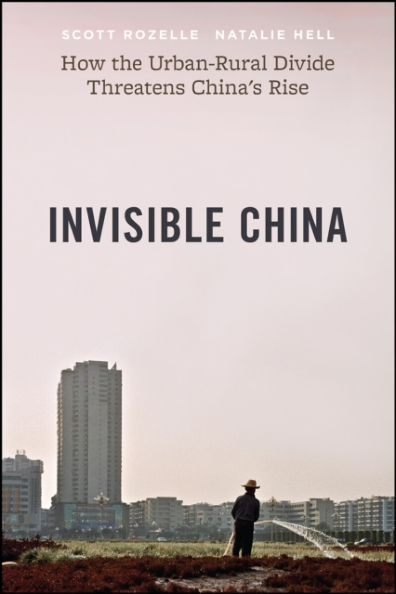 Kniha Invisible China