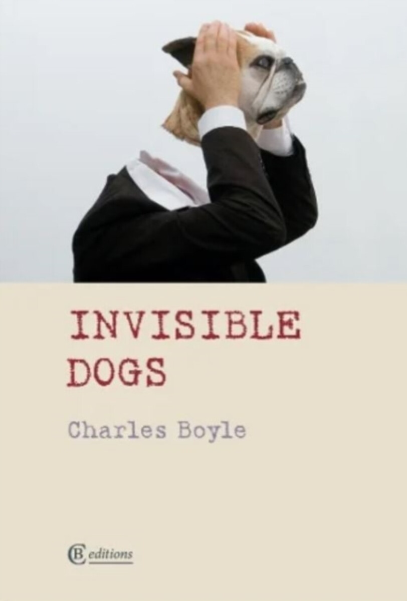 Kniha Invisible Dogs