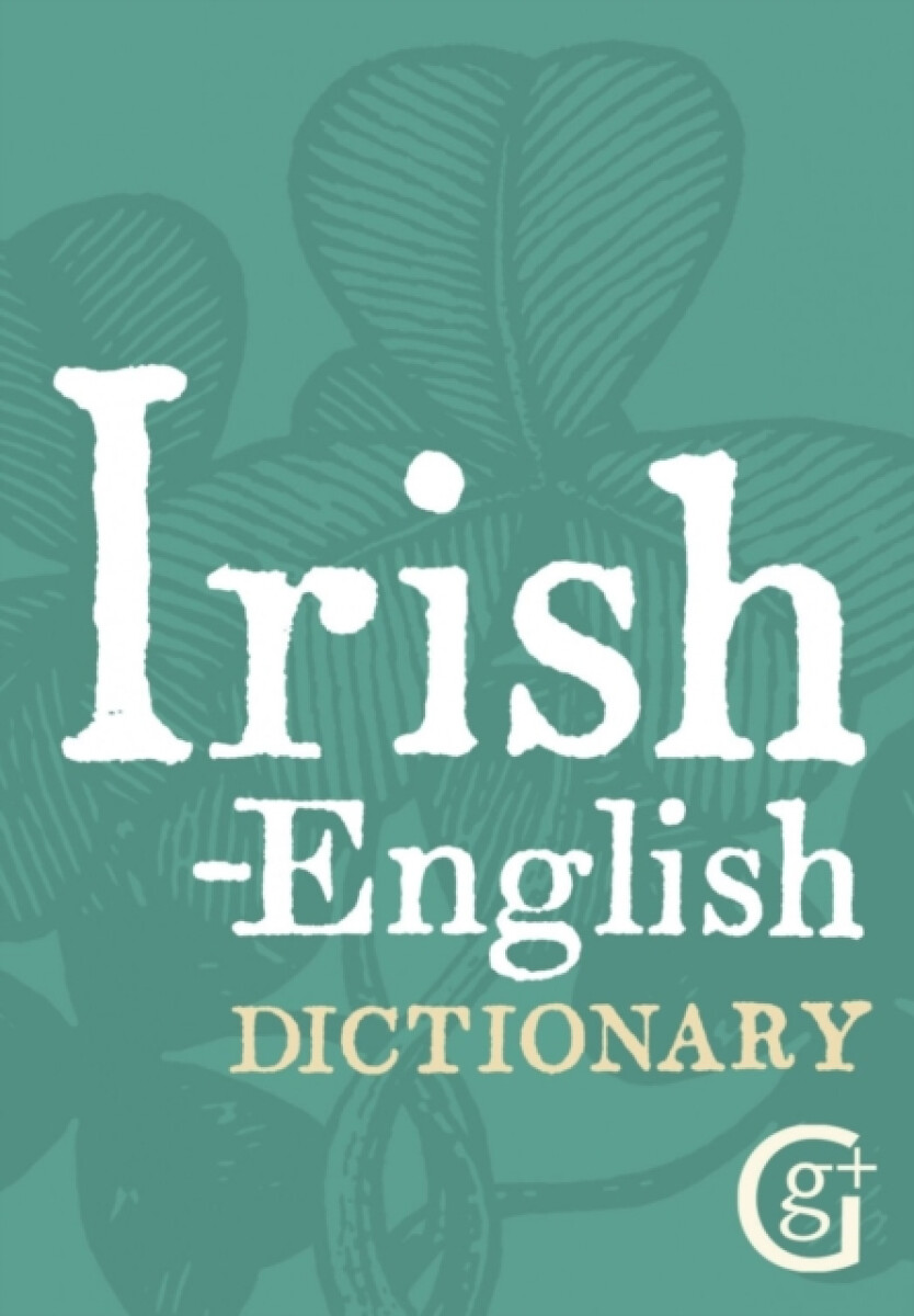 Kniha Irish-English Dictionary
