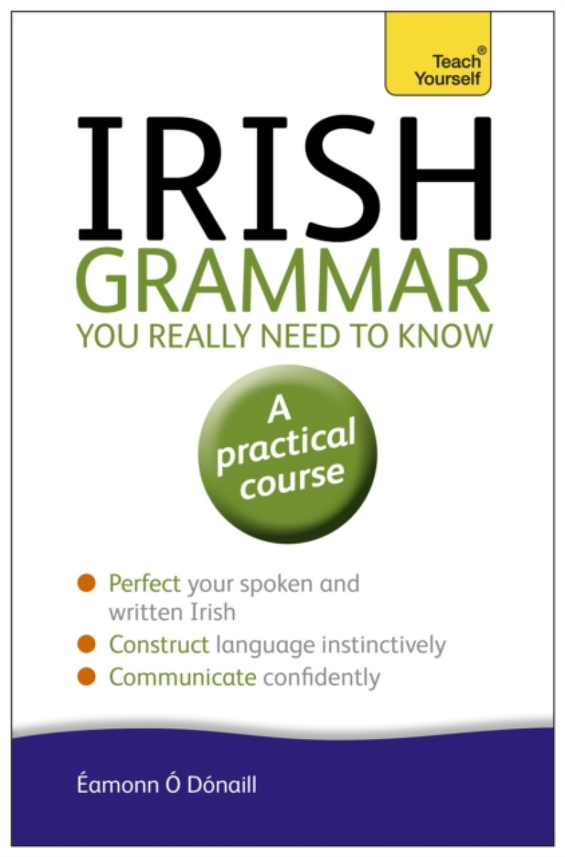 Kniha Irish Grammar You Really Need to Know: Teach Yourself
