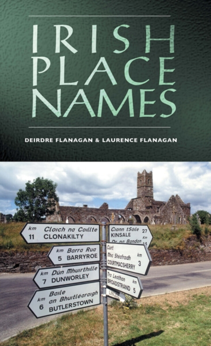 Kniha Irish Place Names