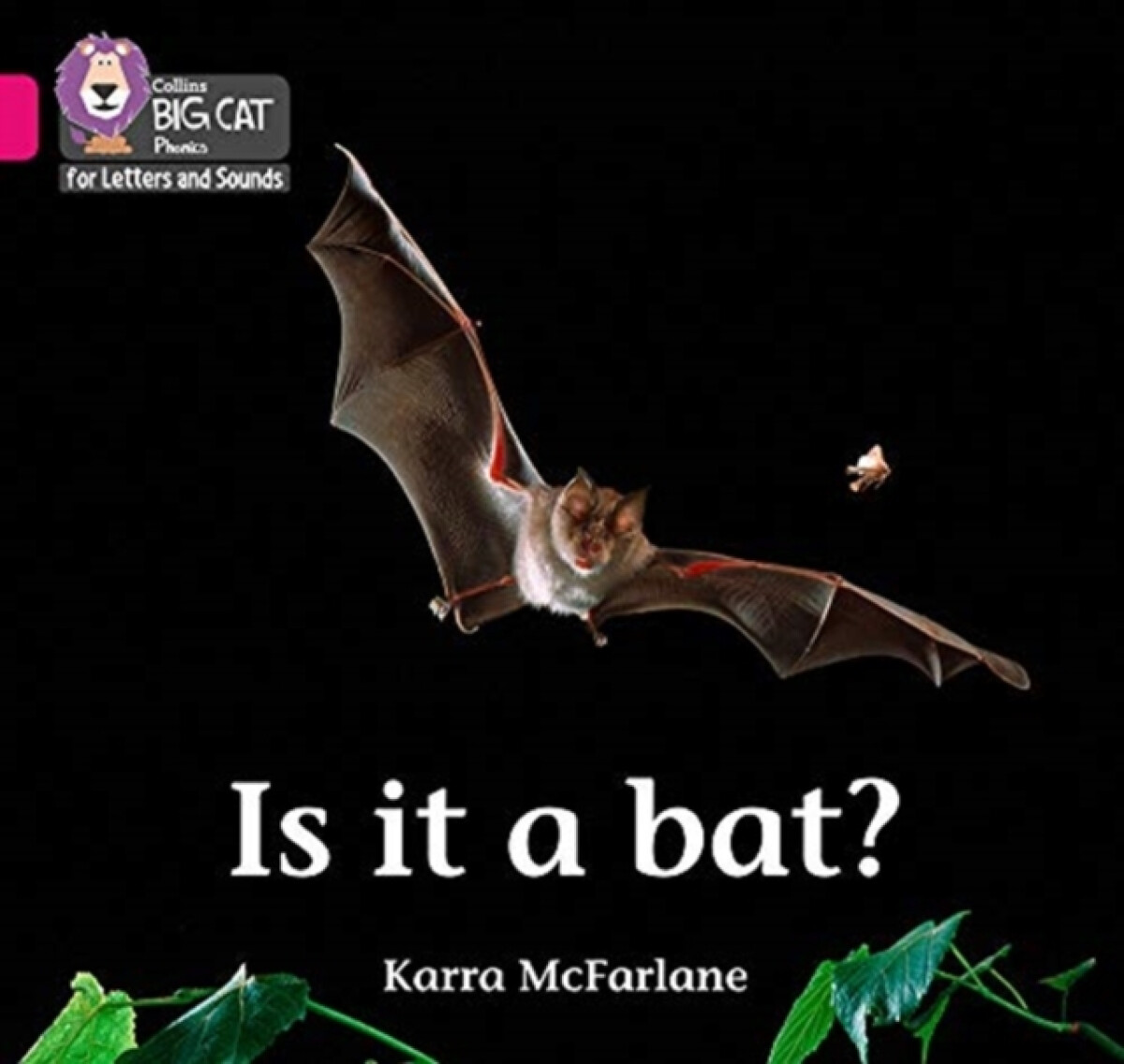 Kniha Is it a Bat?