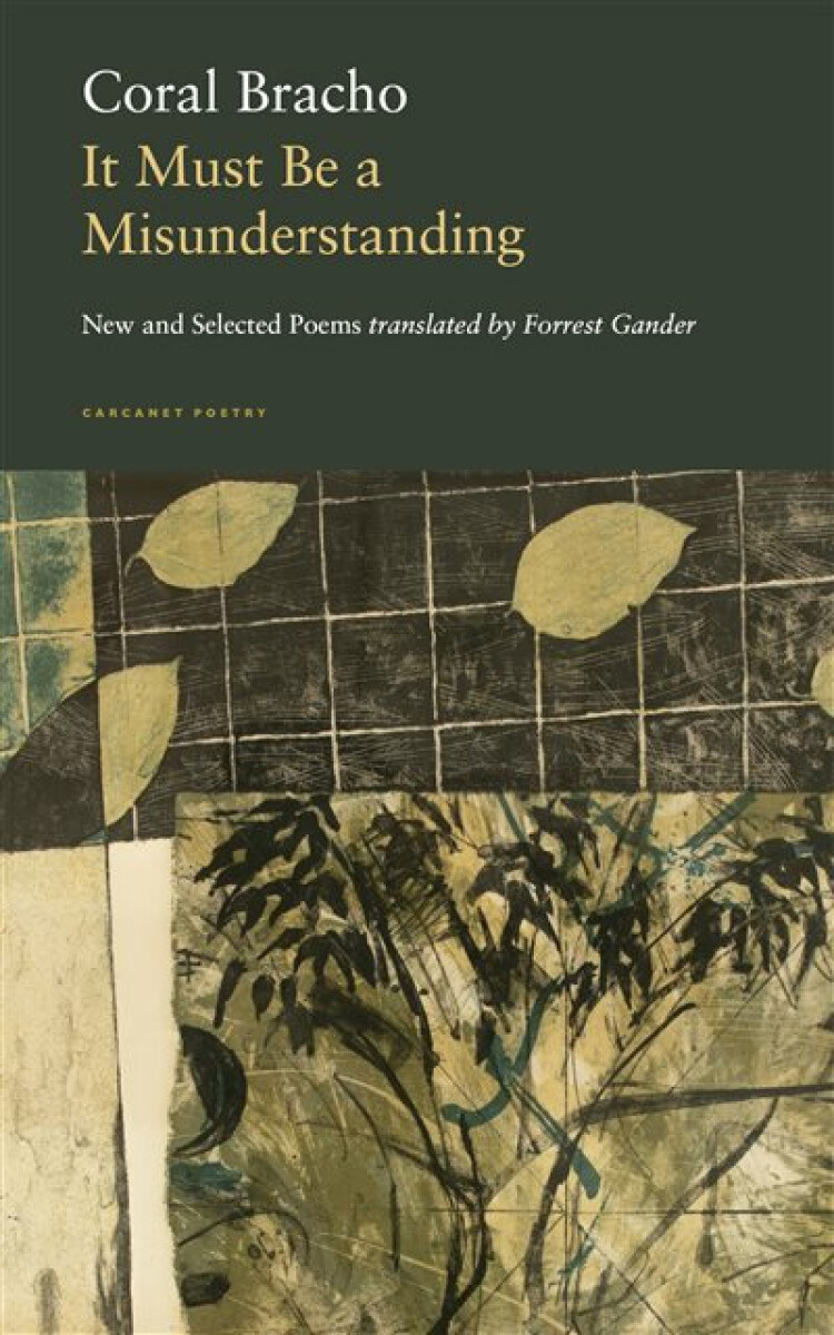 Kniha It Must Be a Misunderstanding