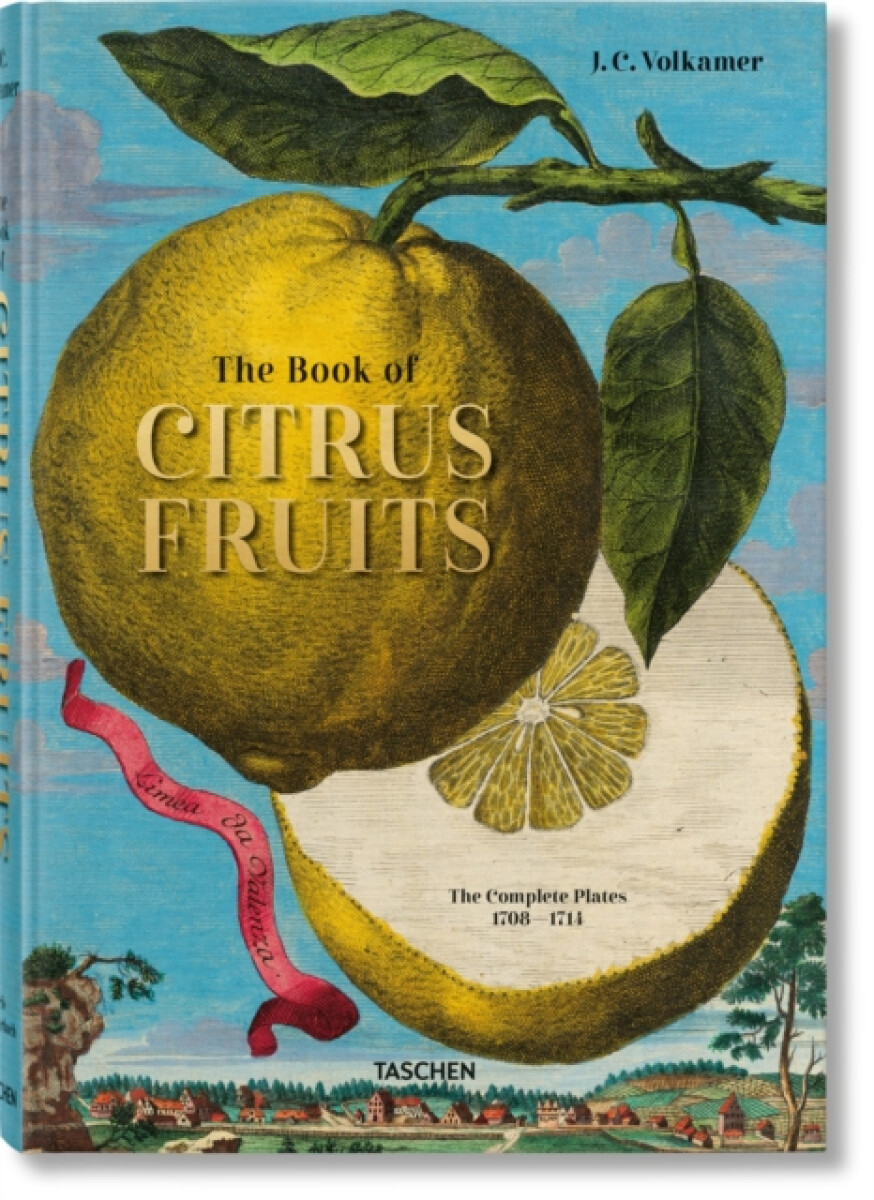 Kniha J.C. Volkamer - The Book of Citrus Fruits