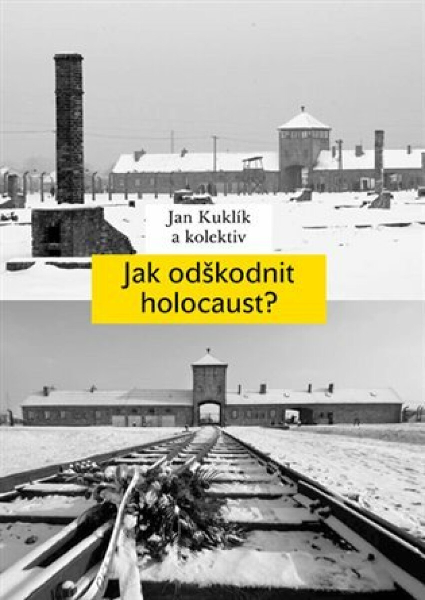 Kniha Jak odškodnit holocaust?